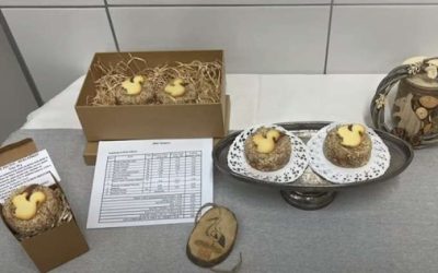 Zlato priznanje na festivali Več znanja za več turizma